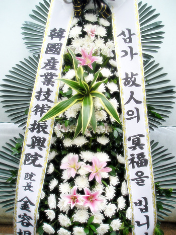 ѱǰ濵ȸ()