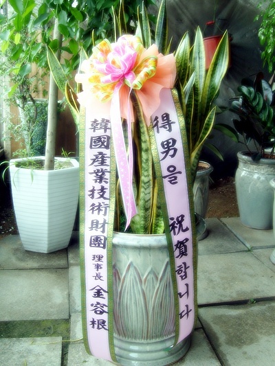 꼼