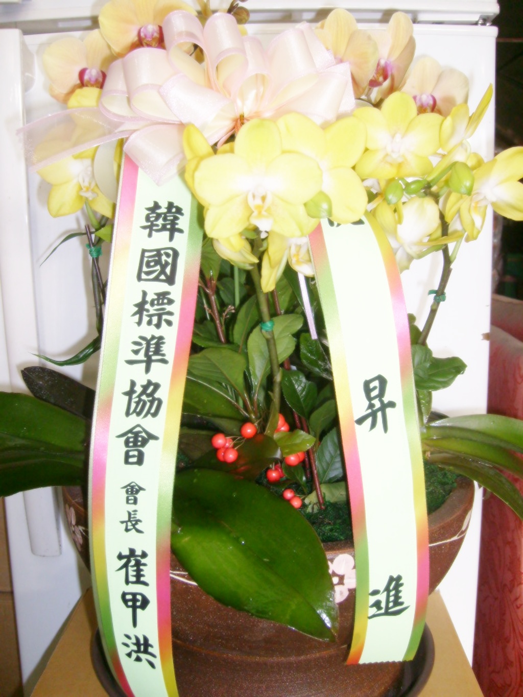 糭(̴ȣ)