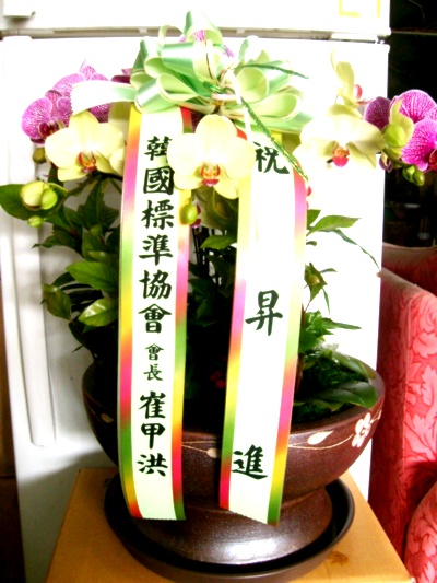 糭(̴ȣ)
